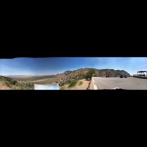 Meet your Posher, Callie